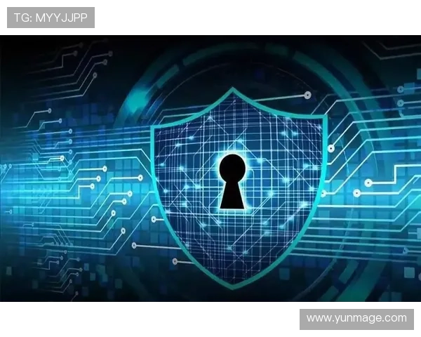 星城we滚球盘：平台安全保障措施与用户资金安全保障方案