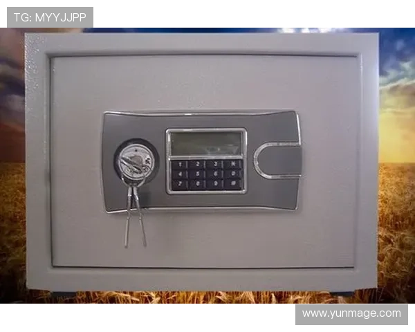 凯发K8真人版会员注册完成后如何进行密码修改与账户保护