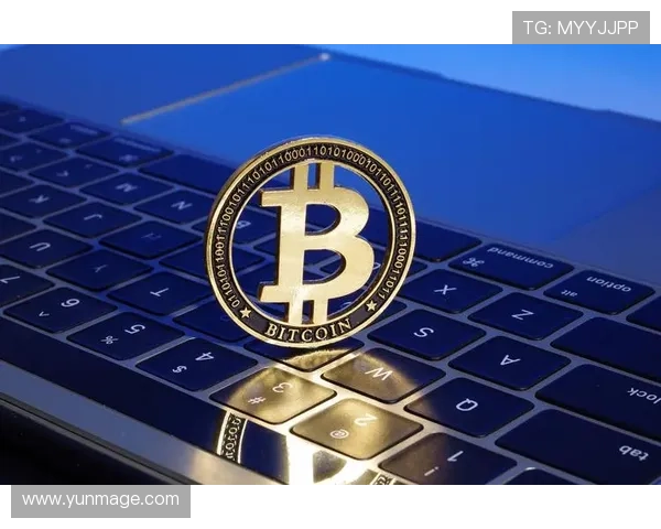 全面了解K8比特币赌场的优势与风险，助你安全娱乐无忧