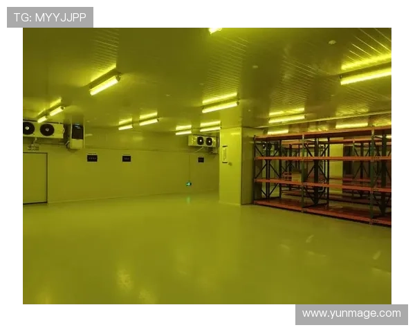 k8凯发官网的技术支持与安全保障措施全面介绍 k8凯发官网的技术支持与安全保障措施全面介绍