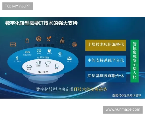 开云注册平台：开云注册平台在企业数字化转型中的应用价值