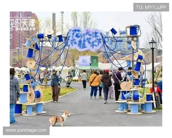 金博国际：多渠道多平台整合打造一站式娱乐新体验